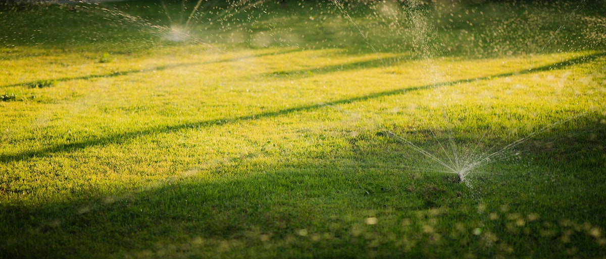Lawn sprinklers throwing water across a green lawn in low golden-hour light